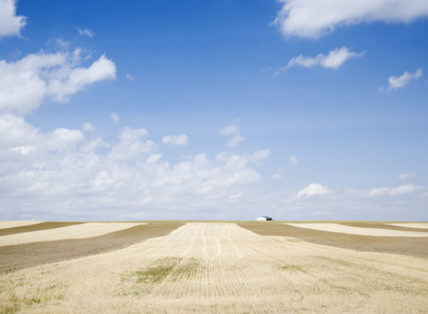 Farmland Billings Montana USA. Date : 2006