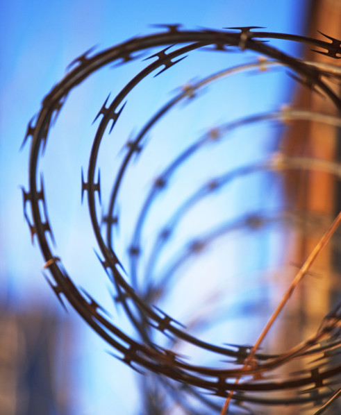 Close up of coiled razor wire. Date : 2007