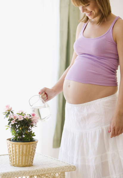 Pregnant woman watering plant. Date : 2007