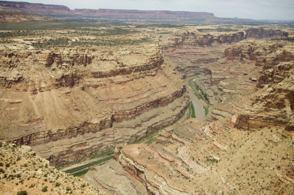 Aerial view of river in canyon, Colorado River, Canyonlands National Park, Moab, Utah, United