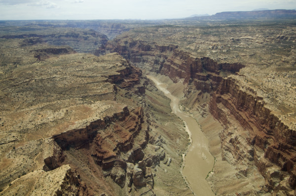 Aerial view of river in canyon, Colorado River, Canyonlands National Park, Moab, Utah, United