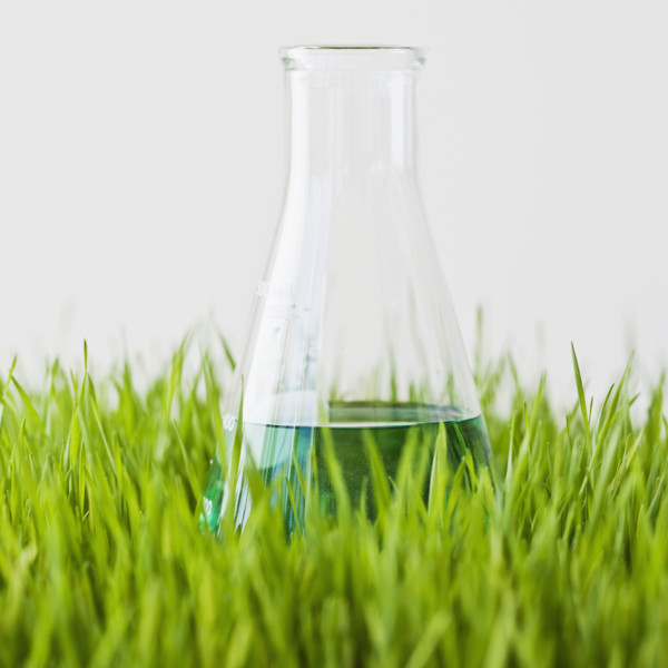 Beaker with liquid in grass.