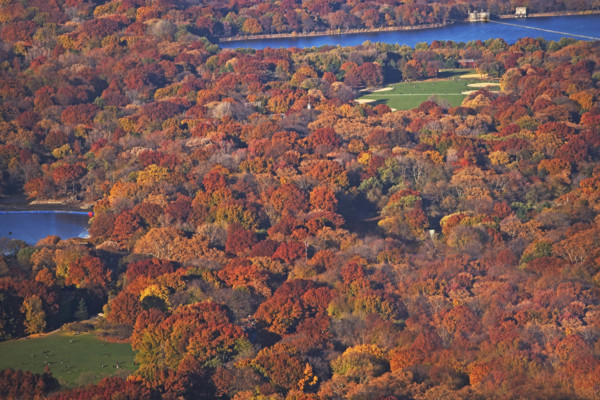 New York City, Central Park. Date : 2008