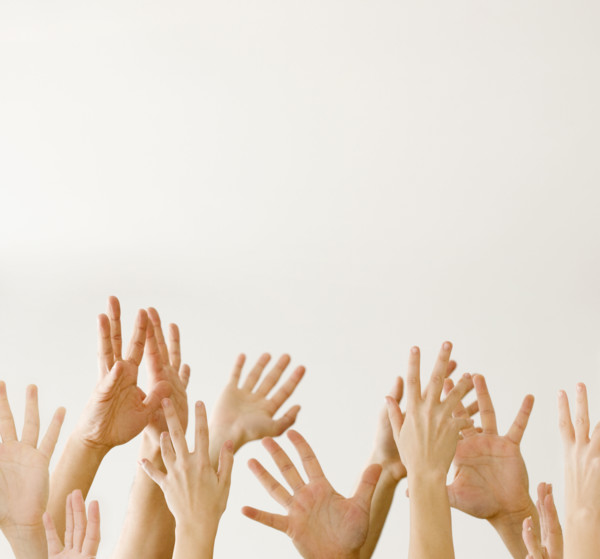Assorted hands reaching up. Date : 2008