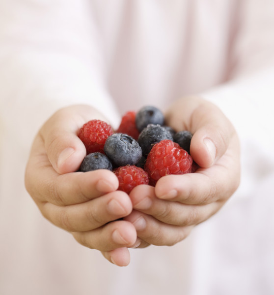 Child holding handful of berries. Date : 2008