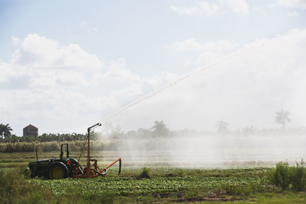 Tractor watering field, Florida, United States. Date : 2008