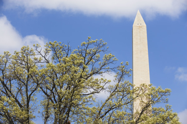 Washington Monument, Washington DC, United States. Date : 2008