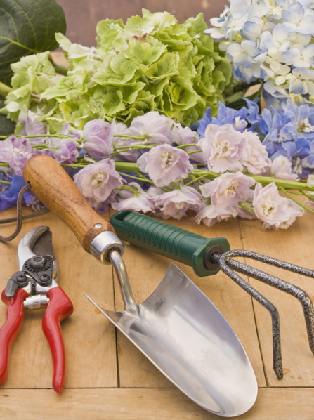 Flowers and gardening supplies.