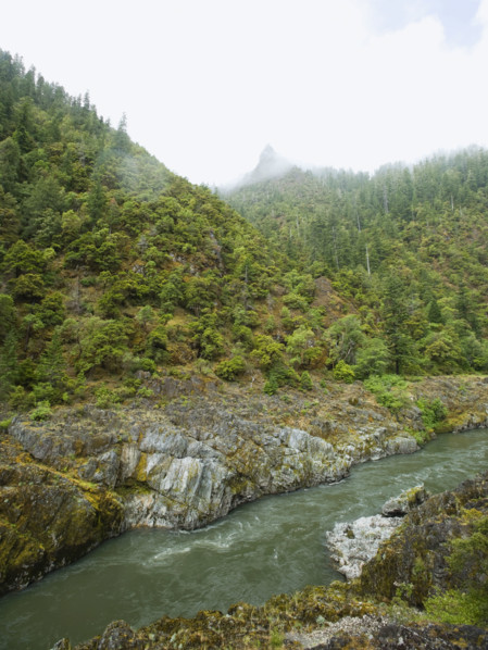 River running through forested canyon. Date : 2008