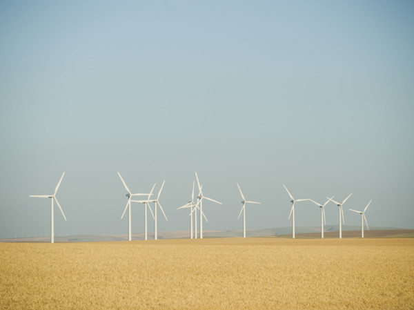 Row on windmills on wind farm. Date : 2008