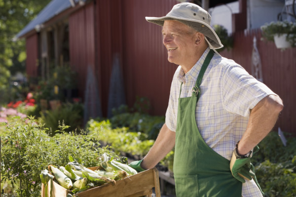 Man working in garden center. Date : 2008