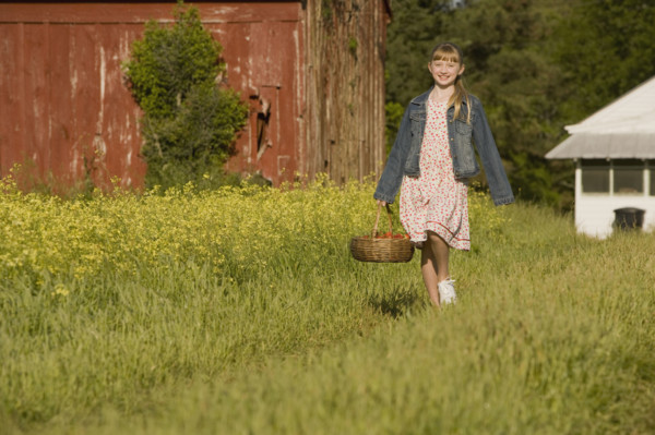 Girl picking strawberries. Date : 2008
