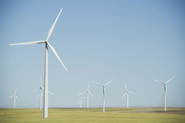 Windmills on wind farm. Date : 2008
