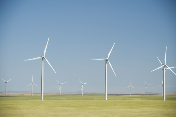 Windmills on wind farm. Date : 2008