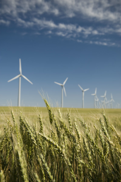 Windmills in a row on wind farm. Date : 2008