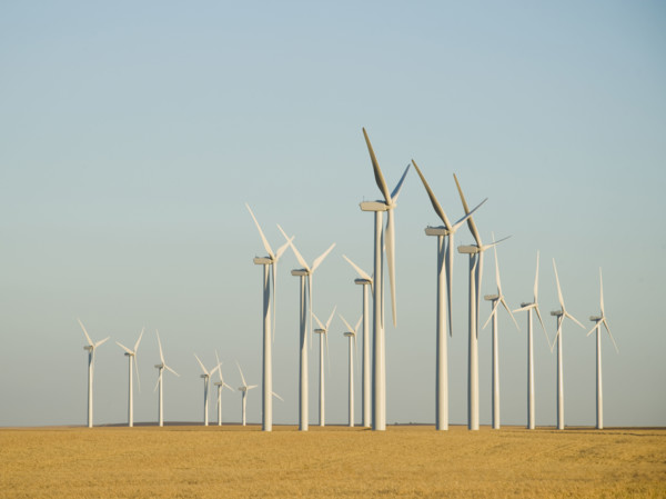 Rows of windmills on wind farm. Date : 2008