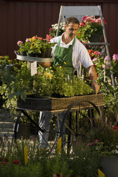 Man working in garden center. Date : 2008