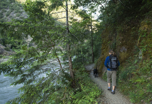 Hiker and dog on forest trail. Date : 2008