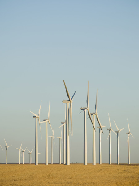 Rows of windmills on wind farm. Date : 2008