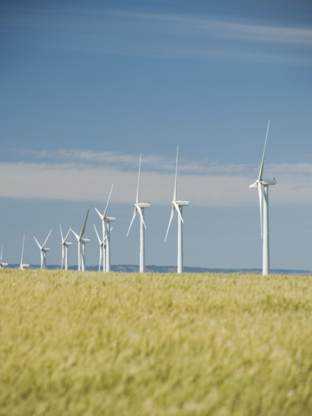 Windmills in a row on wind farm. Date : 2008
