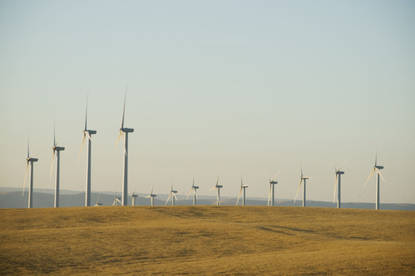 Rows of windmills on wind farm. Date : 2008