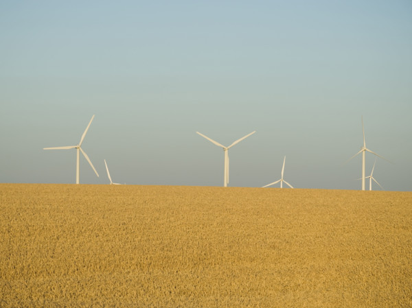 Row of windmills on wind farm. Date : 2008