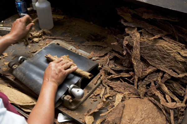 Man hand-rolling cigars. Date : 2008