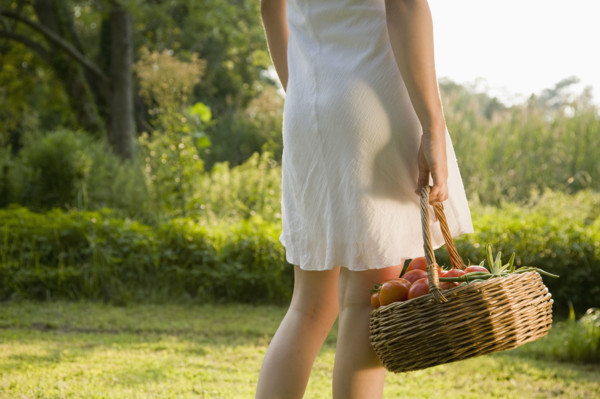 Woman carrying basket of fresh tomatoes. Date : 2008