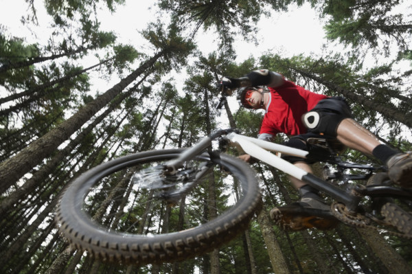 Mountain biker in mid-air in forest. Date: 2008