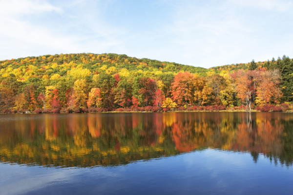 Autumn foliage, Bear Mountain, New York. Date: 2008