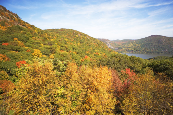 Autumn foliage, Bear Mountain, New York. Date: 2008