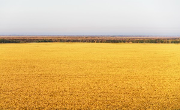 Rural landscape. Photographe : fotog