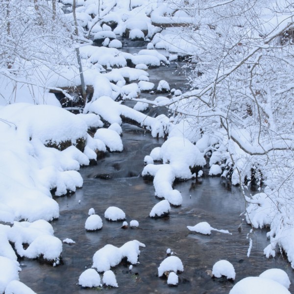 Snowy stream in winter.