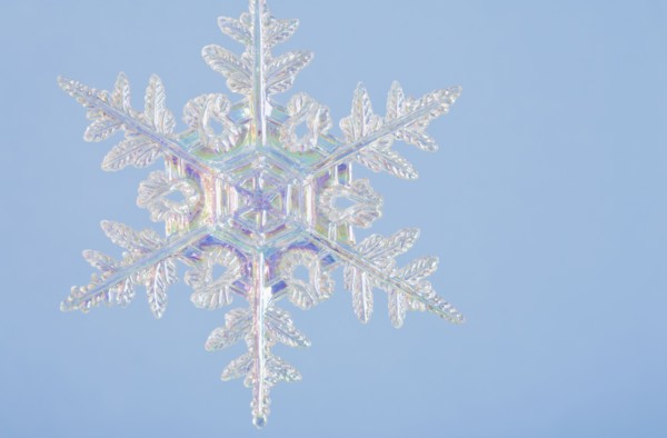Snowflake decoration. Photographe : Kristin Lee