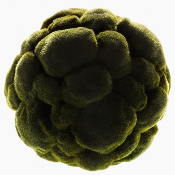 Ball of green grass. Photographe : Joe Clark