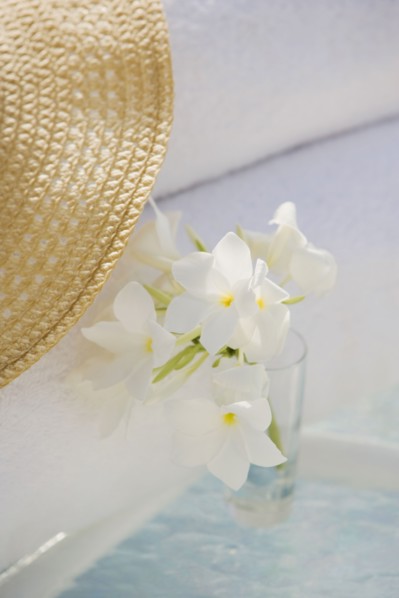 Tropical flowers in . Photographe : mark edward atkinson