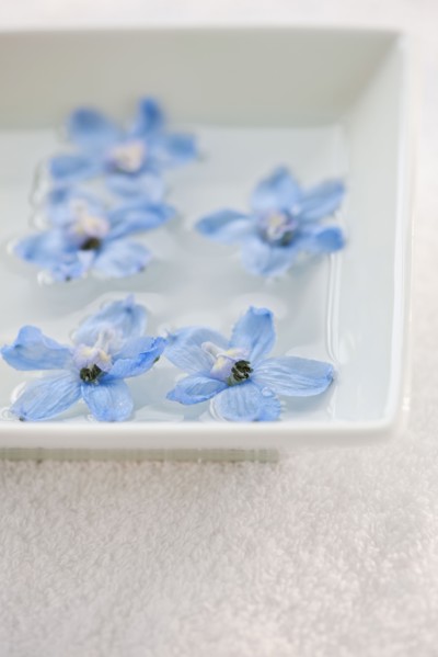Tropical flowers in bowl of water.