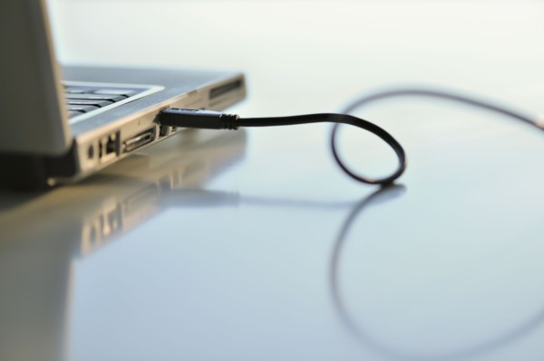Laptop and usb cord.