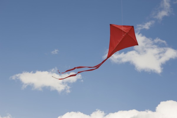 Red kite in sky.