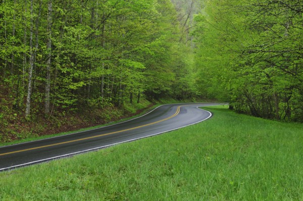A scenic and empty road.