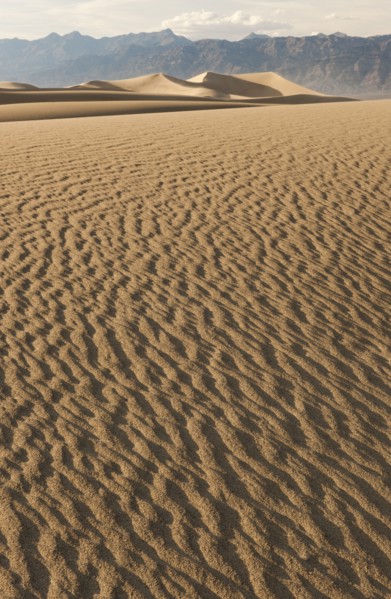 Sand dunes in the desert.