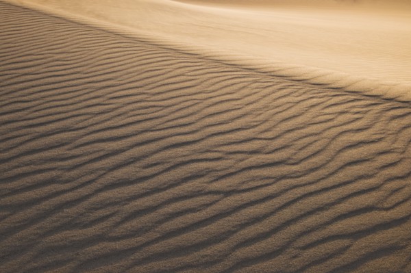 Sand dunes in the desert.
