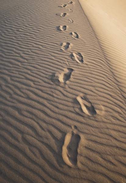 Sand dunes in the desert with footprints.