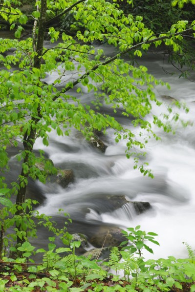 Flowing creek.