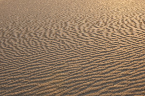 Sand dunes in the desert.