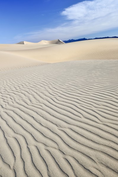 Sand dunes in the desert.
