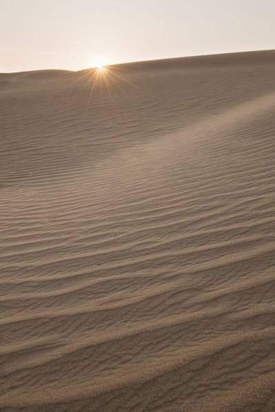 Sand dunes in the desert.