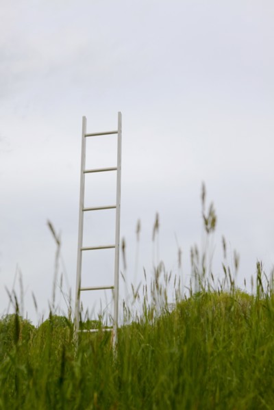 A ladder standing upright in a field