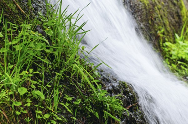A scenic waterfall