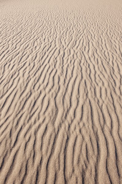 Sand dunes in the desert.